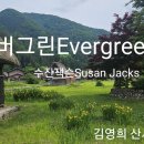 에버그린 이미지