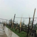 토네이도 이미지