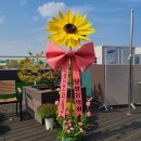 노송천노인복지관 이미지