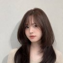 수진3호 네이버블로그