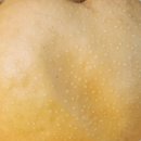 루니농장 이미지