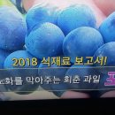 기치유센터