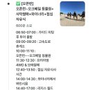 뉴앤팜 | 호주 시드니 근교 포트스테판 소그룹 투어후기:오크베일동물원+모래썰매(샌딩보드)+와이너리 체험