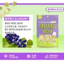 모모댕댕 이미지