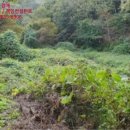 구산면570 이미지