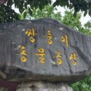 쌍둥이농장 | 강릉 가볼만한곳 쌍둥이 동물농장 여름에 아이랑 다녀온 후기!