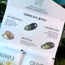 P-6505 | 폴리페놀 함량 대박! 네이버 쇼핑 1위! 올록담 올리브3 공복 올리브오일 캡슐
