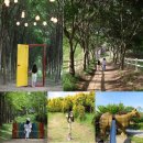 윙윙흑염소 | 충남 당진 아이와 여행 / 아그로랜드 태신목장 / 인생샷 맛집은 여기!