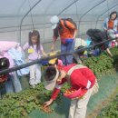 새봄농장(2) 이미지