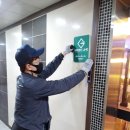 그린라인 이미지