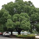순천공업고등학교 이미지