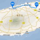 지나는길에 이미지