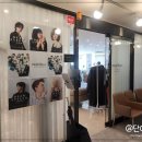 스텔라헤어 이미지