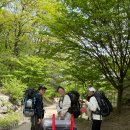 2야영장 화장실 이미지