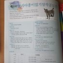 한국종이공예협회 이미지
