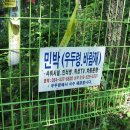 우두령민박 이미지