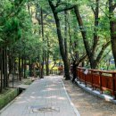 구덕야영장 이미지