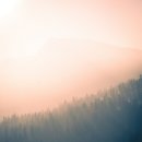 안의한의원 이미지