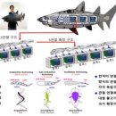 2020년 올해의 해양수산신기술인증 살펴보니 이미지