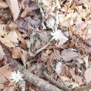 공설운동장 1주차장 화장실 이미지