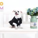 교감스튜디오