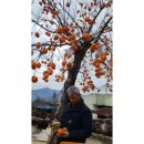 악양스토아 | 2023년 1월 농사일지