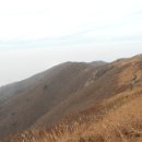 오서산상담마을 | [2011년] 오서산을 임도로 올라갈 수 있다 - 홍성 오서산 억새길