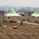 희망농장2 이미지