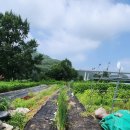 덕신농장 이미지