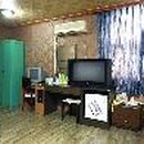 스위스장 이미지