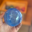 작두소프트 | 경주 황리단길 데이트코스 네컷사진관 공방체험 놀거리 포토랩플러스 추천후기