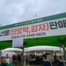 옥천농업협동조합 | 충북 향수옥천 옥수수 감자 축제 후기 (7월 17일~18일)