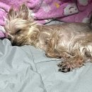 금성게임랜드 이미지