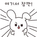 브로모터스 이미지