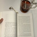 준표마켓