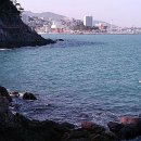 암남공원 Daum카페