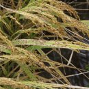 강우축산 이미지