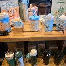 스타벅스 익산모현점 이미지