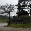 자연과함께(주) 이미지