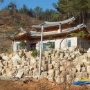 김을환농장 Daum카페
