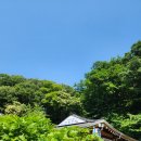 청계다원