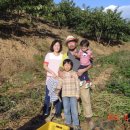 남기농장 이미지