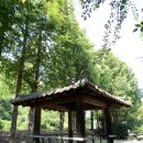 큰맘할매순대국 영월남면점 이미지