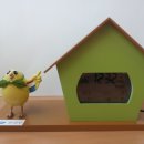 카나리아 이미지