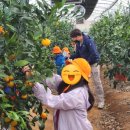 곰소초등학교 이미지