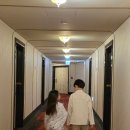대명푸드시스템 | 비발디파크 소노캄A 스탠다드 클린 객실 컨디션 내돈내산 체크인 꿀팁