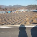 신양보건진료소 이미지