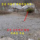 여주-0816 이미지