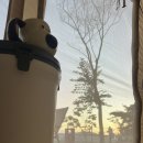 화장산 캠핑장 이미지