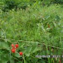 덕은상사 이미지